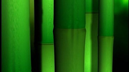 ���ֽ^��Ƭ�^��(d��ng)��