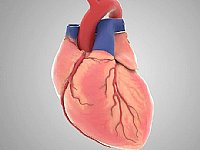 ���S��(d��ng)��(hu��)ҕ�l�������t(y��)���t(y��)�W(xu��)�ИI(y��)�đ�(y��ng)�÷�������Щ��