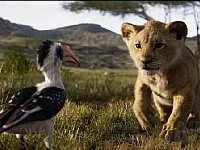 2019 ���S��{�����Ӯ��Ӱȫ��Ʊ����16�|��Ԫ�����Ӯ����g�˗U