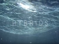 Hybrids���@���h������CG���S�Ӯ�3Dҕ�l��Ƭ���p