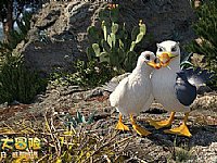 ʥ�Q��(ji��)����������3D�Ӯ��Ӱ����˹��ð�U�� �A(y��)��Ƭ�l(f��)��